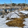 The town pier north of the commercial wharf at Rock Harbor could soon get a much needed upgrade if funding is approved for improvements to the wharf and commercial bulkhead at annual town meeting in May.  RYAN BRAY PHOTO
